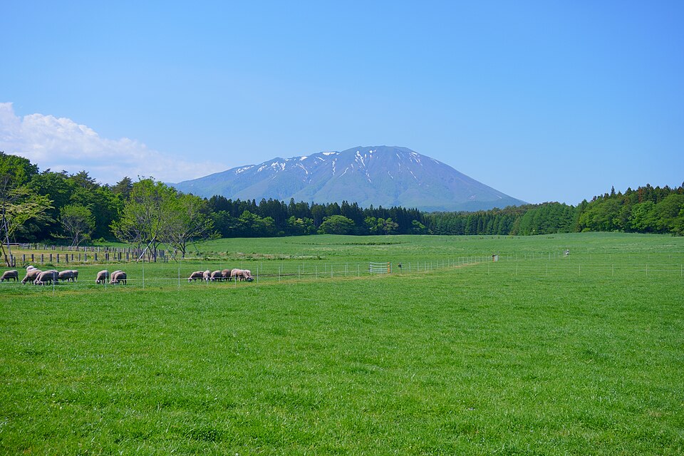 小岩井農場