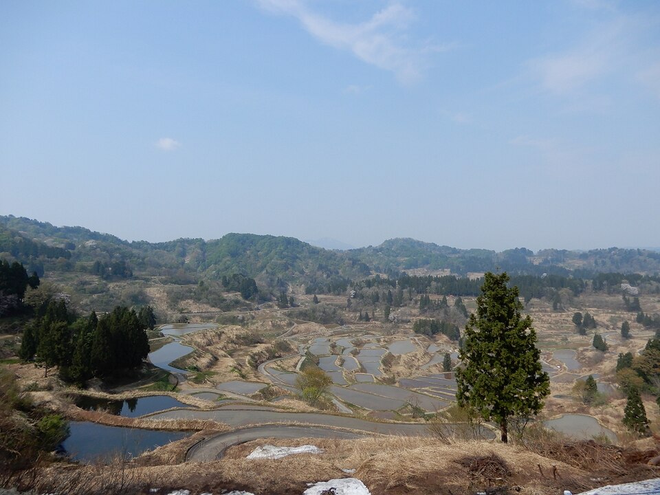 星峠の棚田