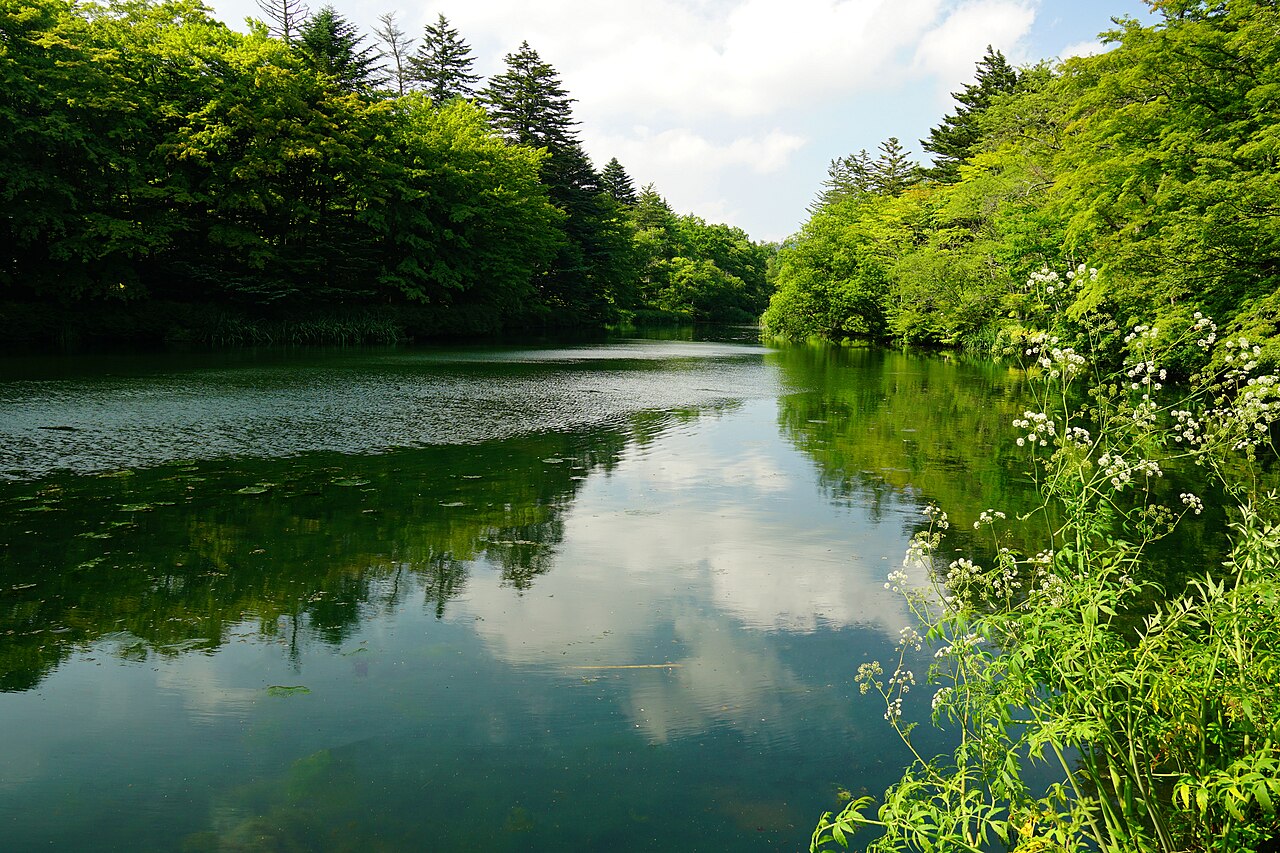 雲場池
